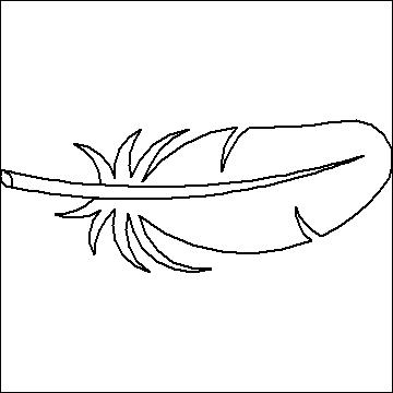 (image for) Bird Feather 1-L02466* - Click Image to Close